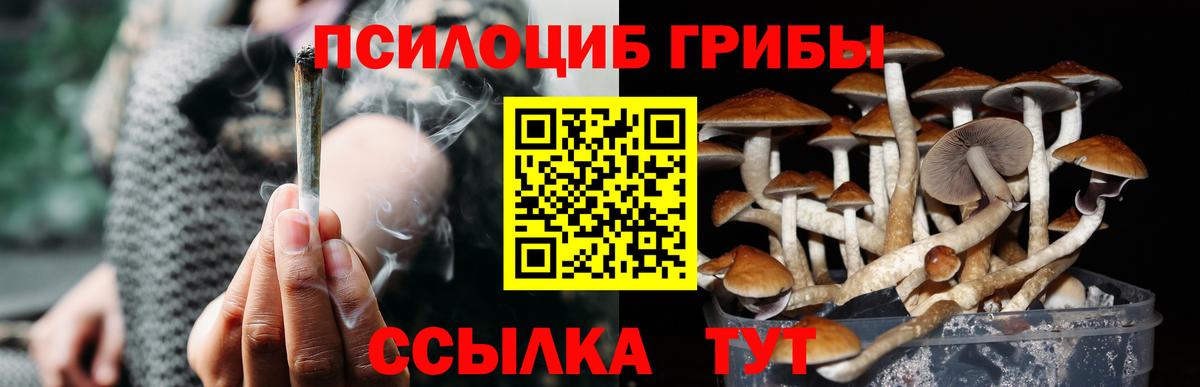 Когалым  купить  цена  Вход с VPN  Галлюциногенные грибы Cubensis 